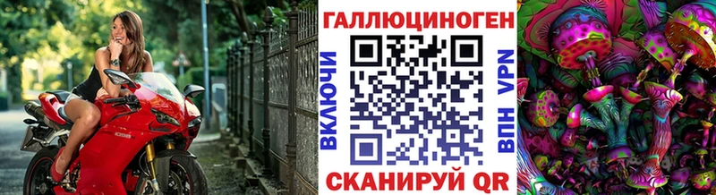 Псилоцибиновые грибы Psilocybine cubensis  Купить где  Новая Усмань 