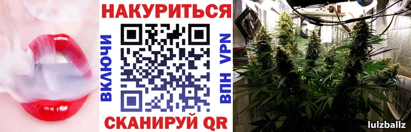 Каннабис индика  Купить где  Новая Усмань 